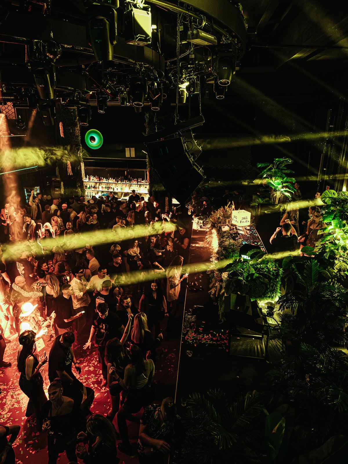 VIP section